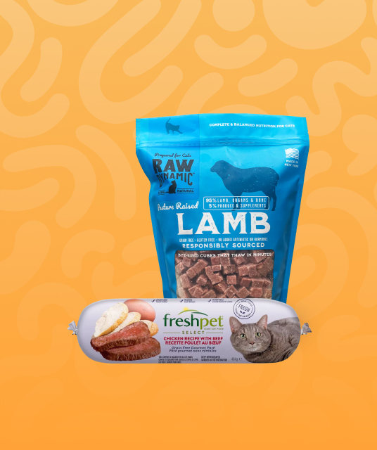 cat scratcher lounge in use by multiple cats showing wear patterns