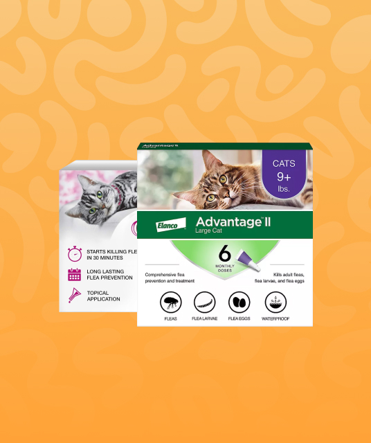 technical details of best dog leads materials