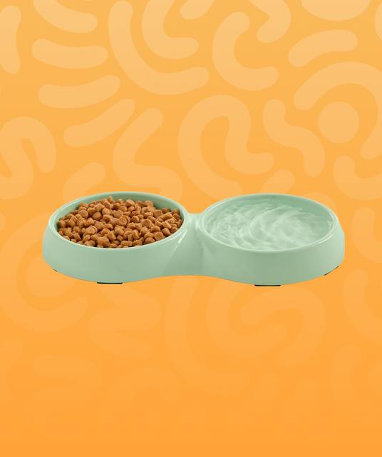 pet sofa covers - Professional Guide and Review