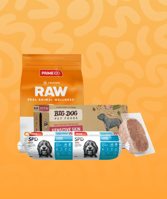 good cat carrier - Professional Guide and Review