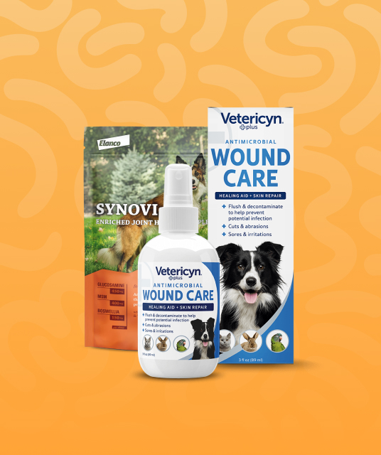 tote dog case study collage showing five Australian homes