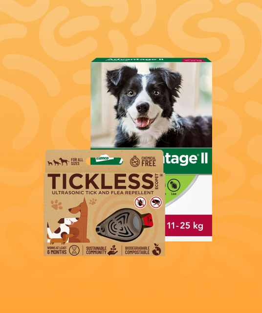 pet tunnel - Professional Guide and Review