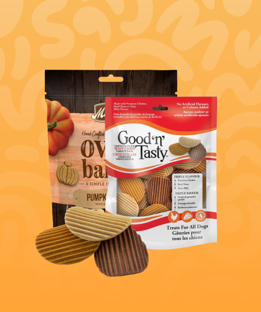 whippet collars australia - Professional Guide and Review