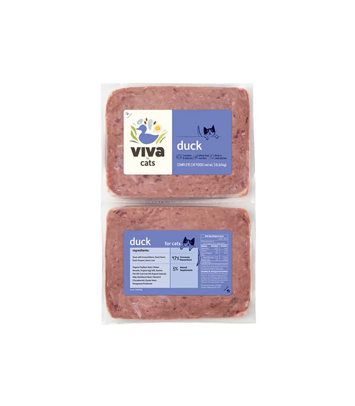 cat door stopper - Professional Guide and Review