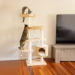 Premium Solid Wood and Natural Wicker Cat Tree - Image 3