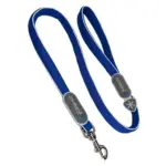 Cinquetorri Dog Leash, Blue