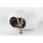 Moderna Donut Cat Cave, Plastic Bed for Cats & Small Dogs - Image 3