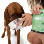 Petz Park Supplement For Dogs | Probiotic - Image 2