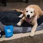 Petz Park Supplement For Dogs | Skin + Coat - Image 9