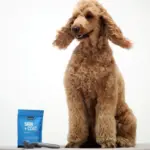 Petz Park Supplement For Dogs | Skin + Coat - Image 10