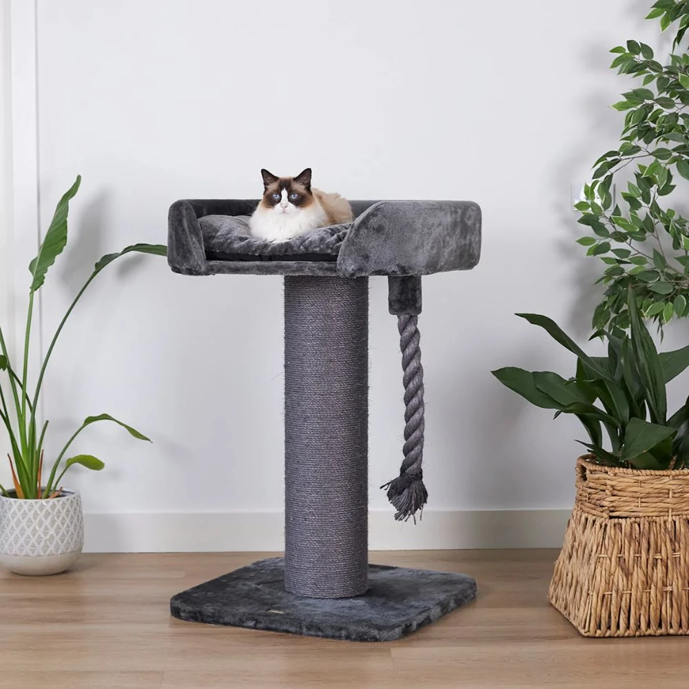 soft dog crates for large dogs alongside cat scratching post