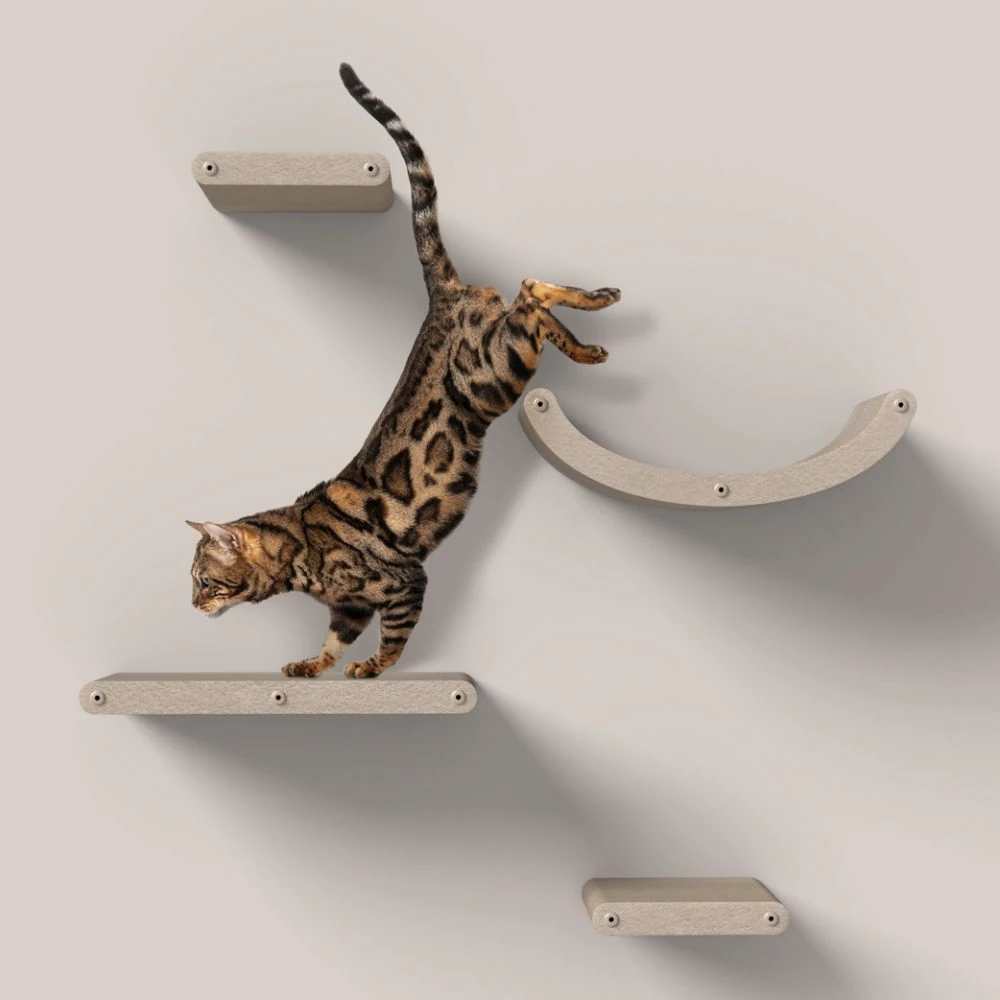 battery powered pet water fountain shown alongside modern cat climbing shelves
