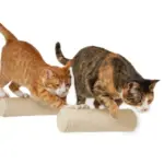 Sisal Cat Climbing Steps - 2 Pack
