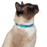 Hunter Modern Art Luxus Cat Collar, Turquoise - Image 2