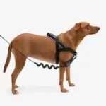 SofterWalk No Pull Dog Harness | Gotham - Image 3