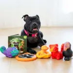 plush toys for dogs - Professional Guide and Review