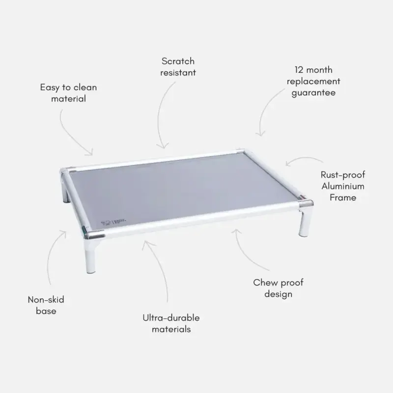 cat door stopper - Professional Guide and Review