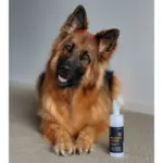 Essential Dog Portable Paw Cleaner - Image 2