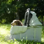 Ibiyaya All Season Pet Stroller Cushion Set, Thames Green - Image 4