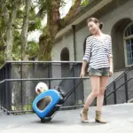 Ibiyaya EVA 5-in-1 Combo Pet Carrier, Pram & Backpack, Chocolate - Image 8