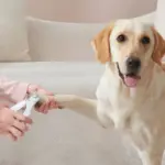 Michu LED Pet Nail Clipper - Image 6