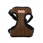 Personalised Pet Harness - Louie - Image 8