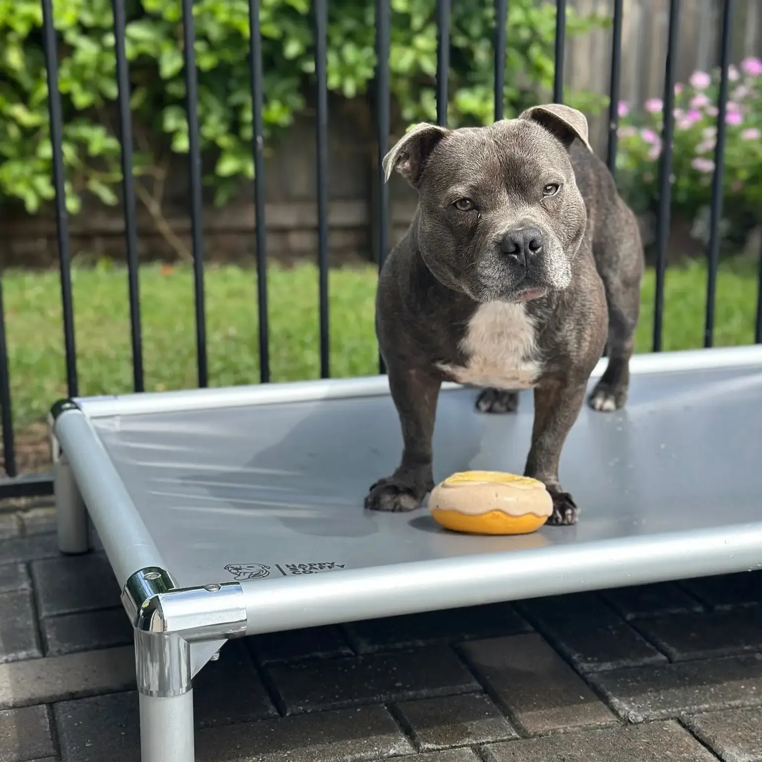 best dog leads comparison chart Australian buyers