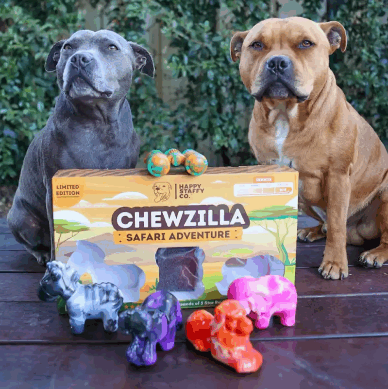 dog slings - Professional Guide and Review