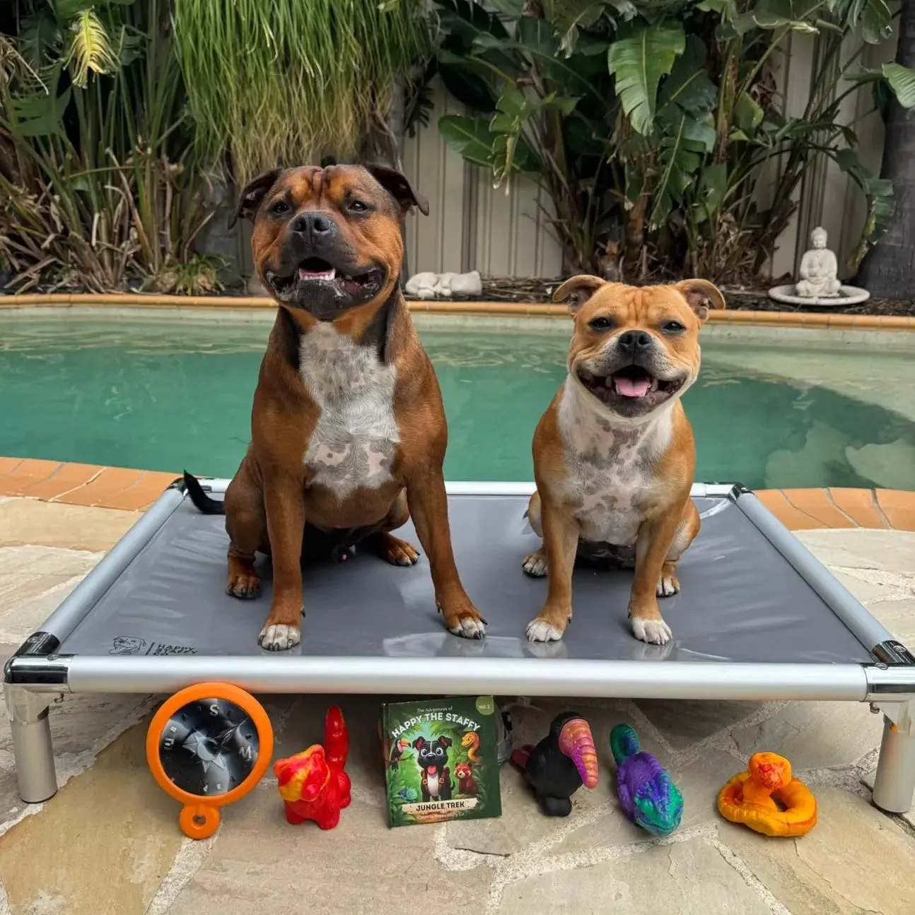 Close-up of secure dog saddle bag straps and buckles for safety