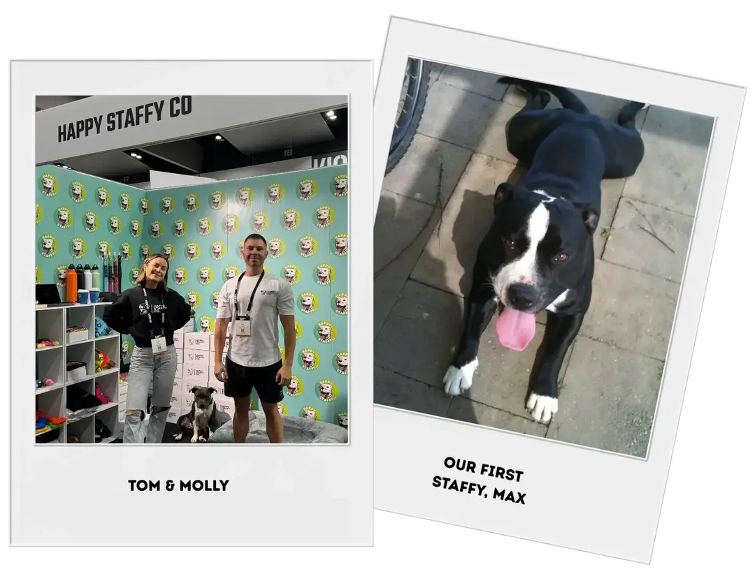 buggy dog training session with treats inside cabin