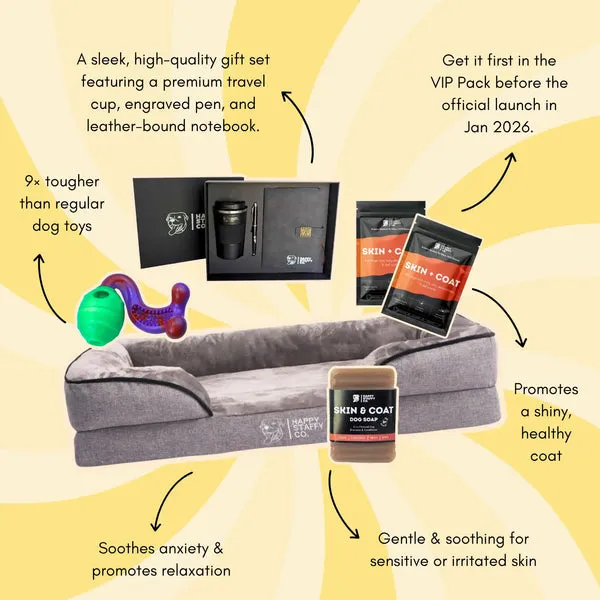 lounge covers for dogs - Professional Guide and Review