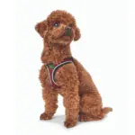 Hunter Hilo Comfort Dog Harness, Red - Image 4