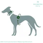 Hunter Norwegian Ranger Dog Harness - Image 4