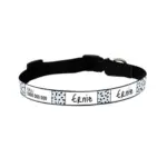 Personalised Dog Collar - Squiggle, Blue - Image 6