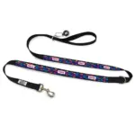 Personalised Dog Leash - Bones