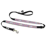 Personalised Dog Leash - Picnic Time