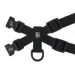 Personalised Pet Harness - Bones - Image 7