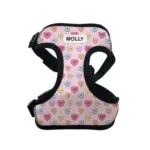 Personalised Pet Harness - Candy Hearts - Image 10
