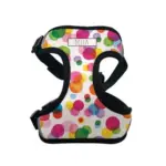 Personalised Pet Harness - Confetti - Image 10