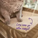 The Lookout Deluxe Window Cat Bed - Image 10