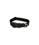 Rogz Classic Dog Collar - Image 2