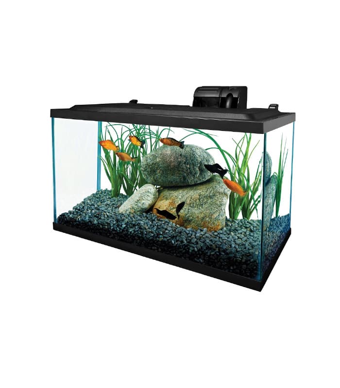 white aquarium with stand