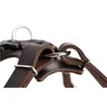 Hunter Aalborg Soft Genuine Leather Dog Harness, Black - Image 4