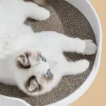 Mayitwill Cat Castle Semi Closed Litter Box, White - Image 5