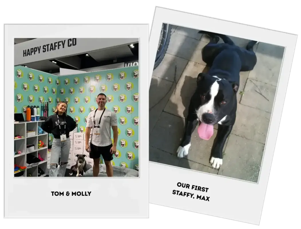 automatic cat litter australia - Professional Guide and Review