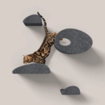 large dog enclosures outdoor|dog trailers