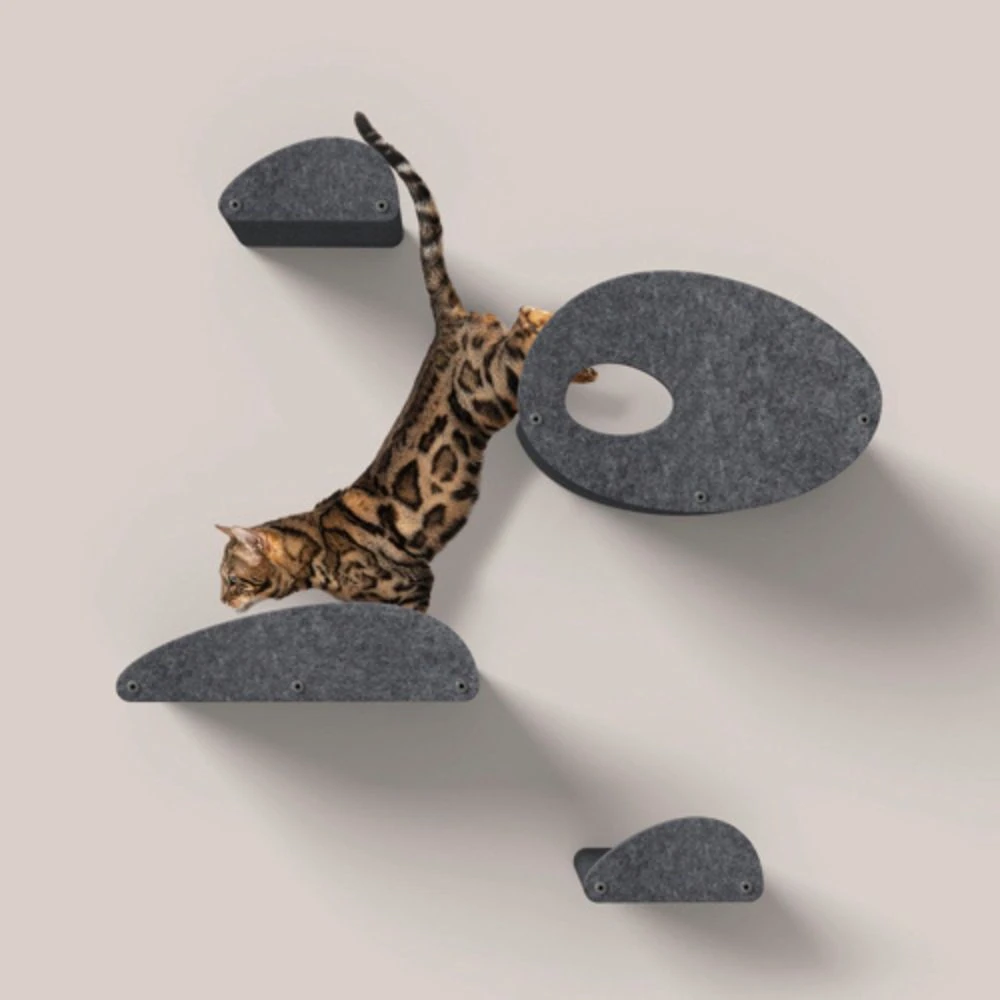 dog harness for car travel safety demo