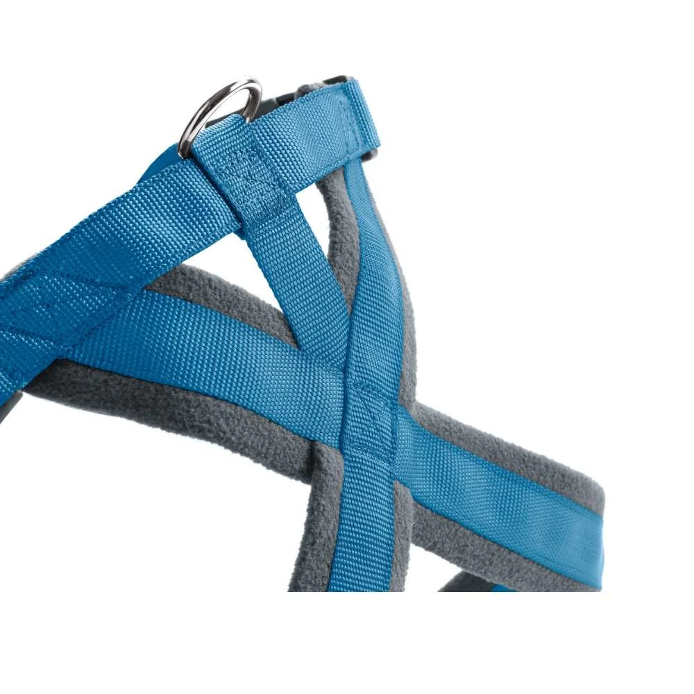 wicker dog bed in airy lounge room