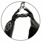 hemp seed oil for pets|real wood cat tree - Image 5