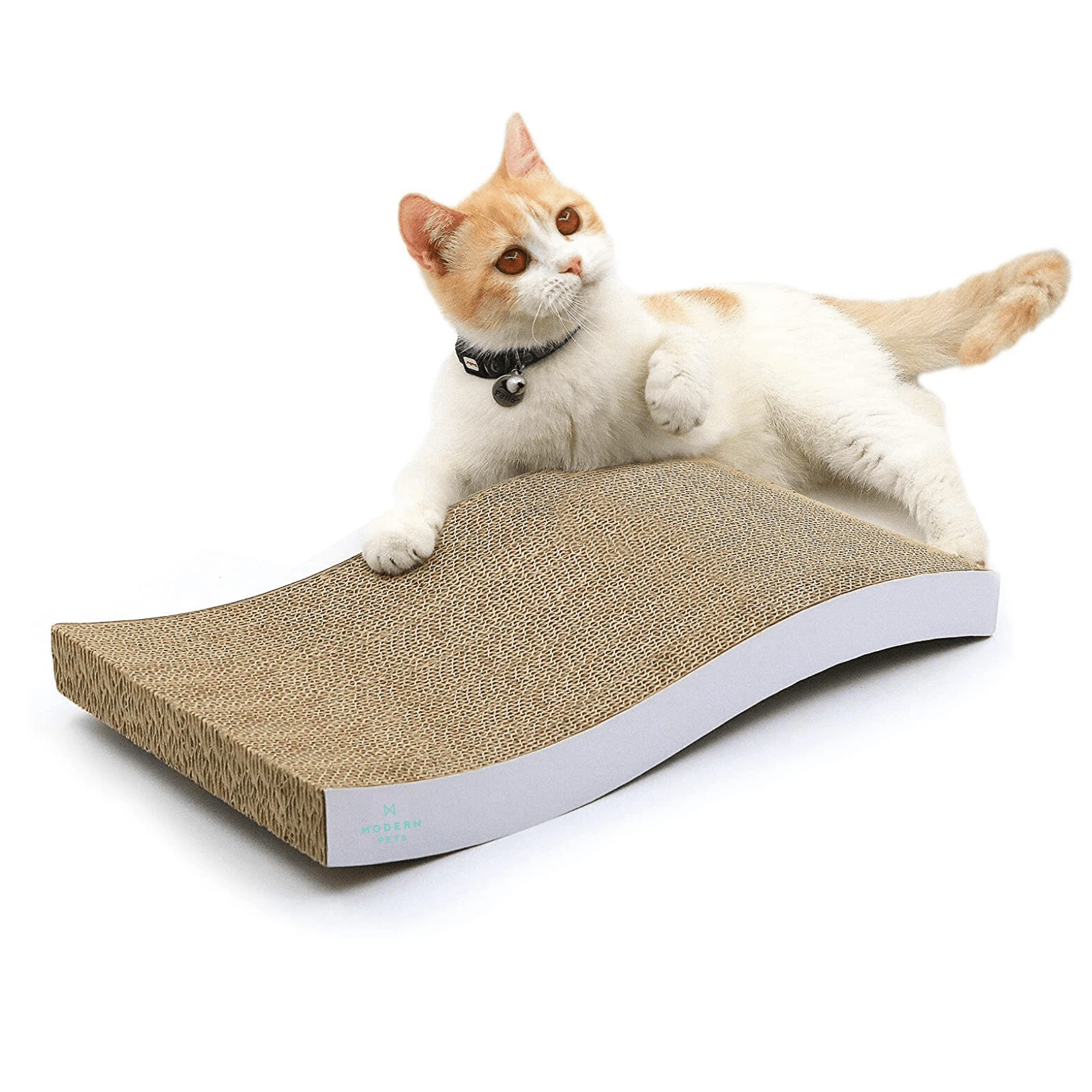 cat gym scratcher pad